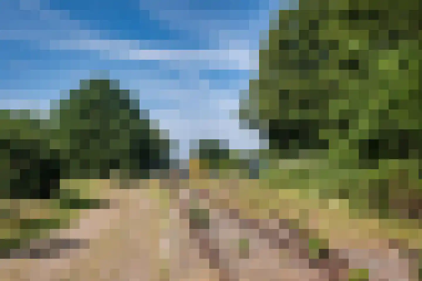 Ter Eycken 16 Veghel thumbnail 43