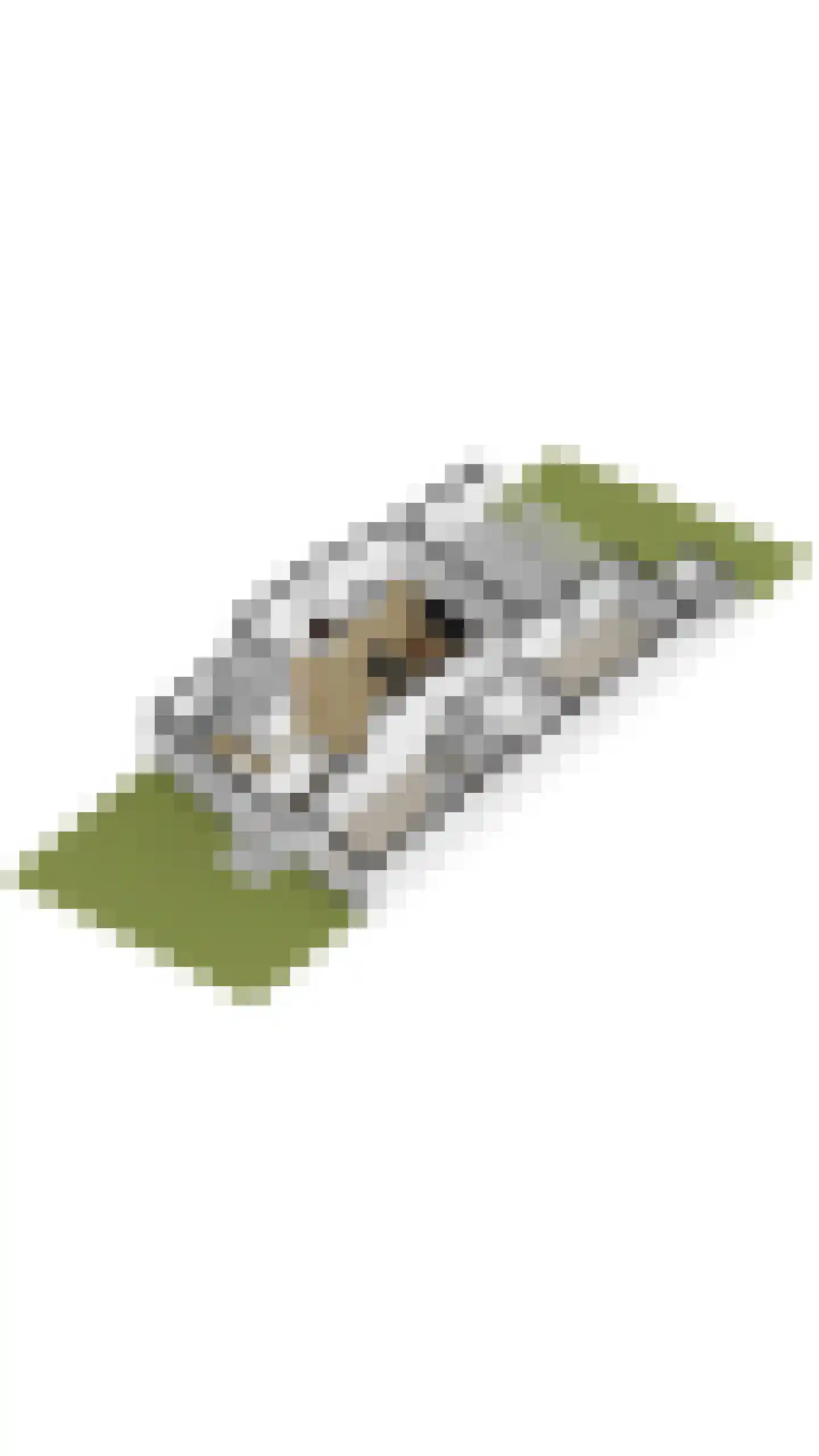 Ter Eycken 16 Veghel thumbnail 46