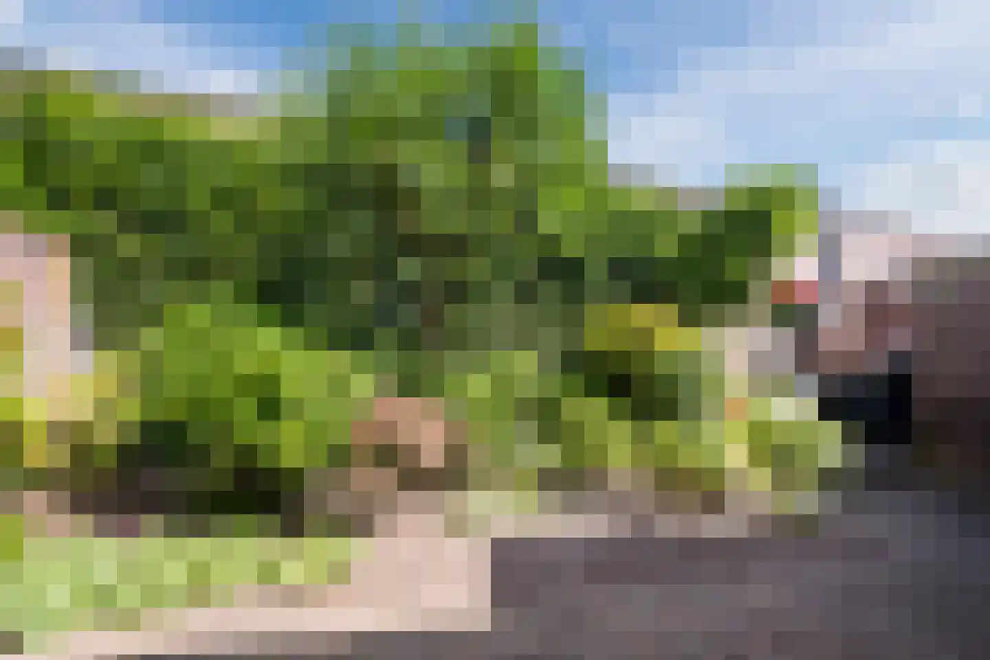 Ter Eycken 16 Veghel thumbnail 6