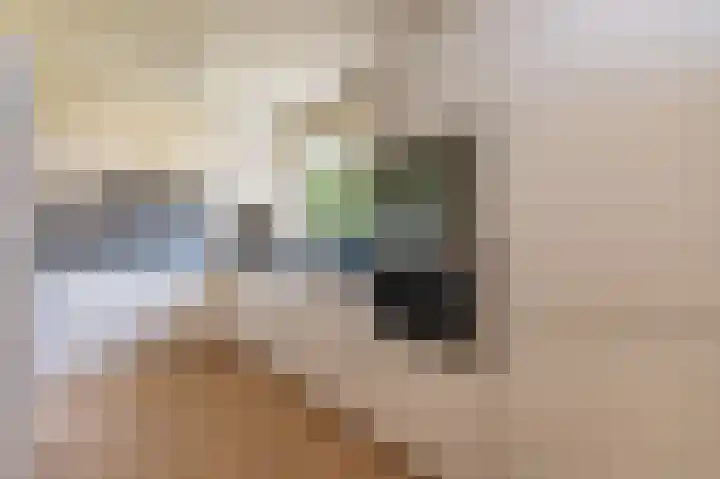 Ter Eycken 24 Veghel thumbnail 11