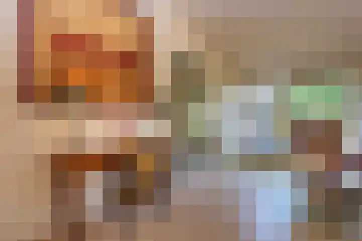 Ter Eycken 24 Veghel thumbnail 14