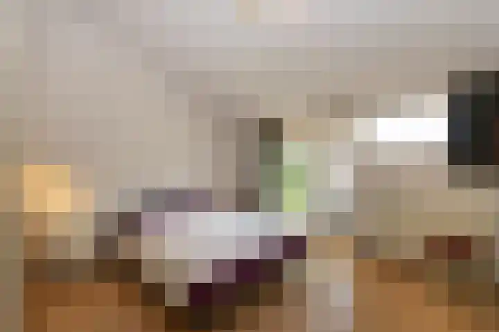 Ter Eycken 24 Veghel thumbnail 25