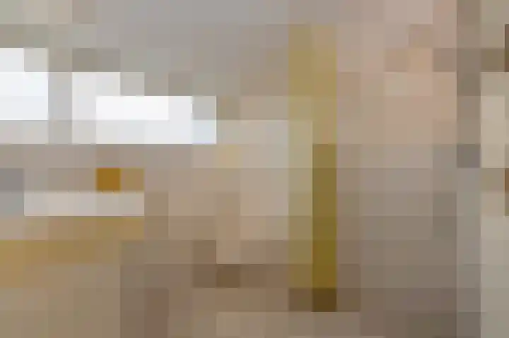 Ter Eycken 24 Veghel thumbnail 26