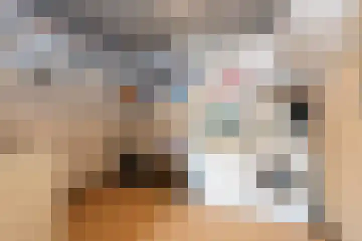 Ter Eycken 24 Veghel thumbnail 28