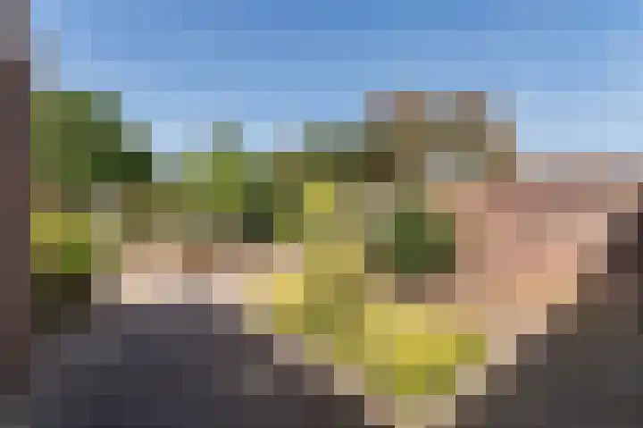 Ter Eycken 24 Veghel thumbnail 29
