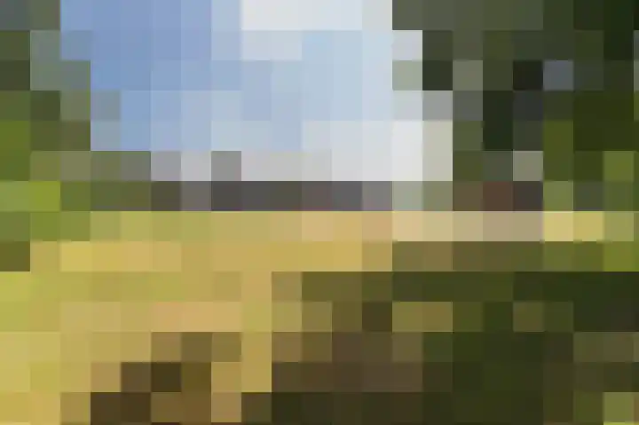 Ter Eycken 24 Veghel foto 3