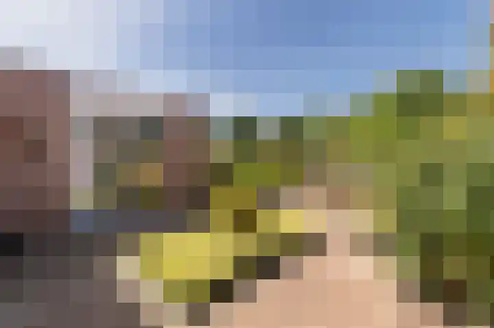 Ter Eycken 24 Veghel thumbnail 30