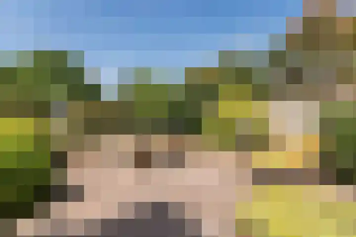 Ter Eycken 24 Veghel thumbnail 31
