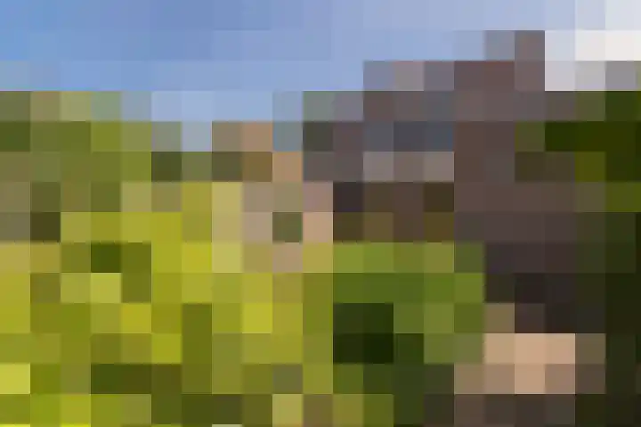 Ter Eycken 24 Veghel thumbnail 32
