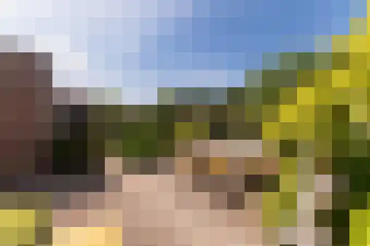 Ter Eycken 24 Veghel thumbnail 33