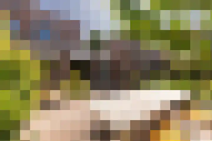 Ter Eycken 24 Veghel thumbnail 34