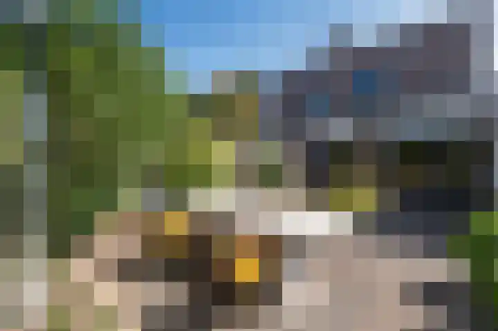 Ter Eycken 24 Veghel thumbnail 36
