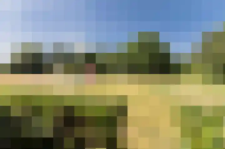 Ter Eycken 24 Veghel thumbnail 37