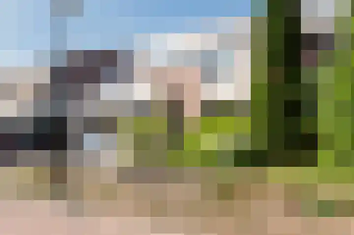 Ter Eycken 24 Veghel thumbnail 4