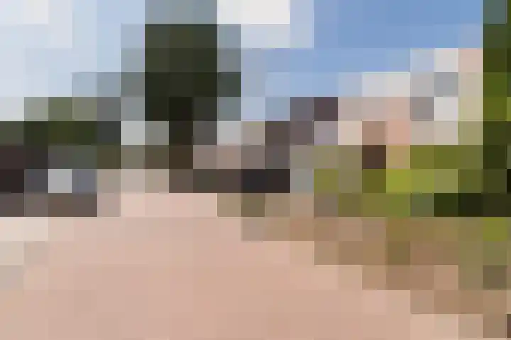 Ter Eycken 24 Veghel thumbnail 5