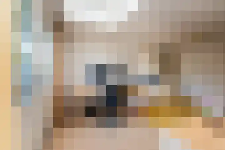 Ter Eycken 24 Veghel thumbnail 8