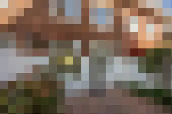Ter Haarkade 5 Leiden thumbnail 21
