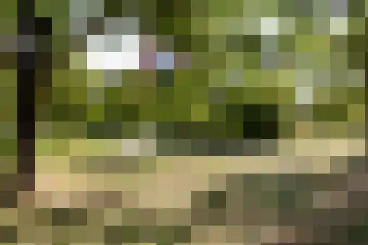 Ter Haarkade 5 Leiden thumbnail 26