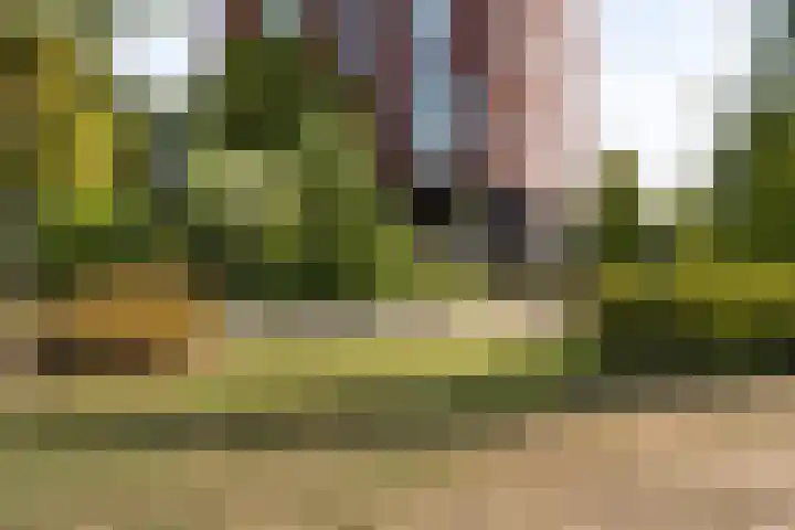 Ter Haarkade 5 Leiden thumbnail 27