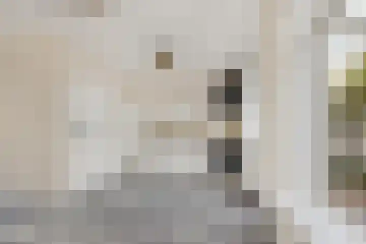 Ter Haarkade 5 Leiden thumbnail 6