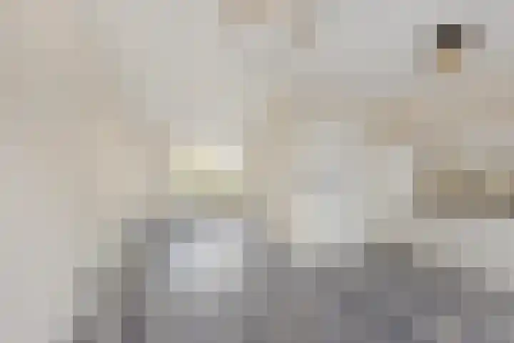 Ter Haarkade 5 Leiden thumbnail 9