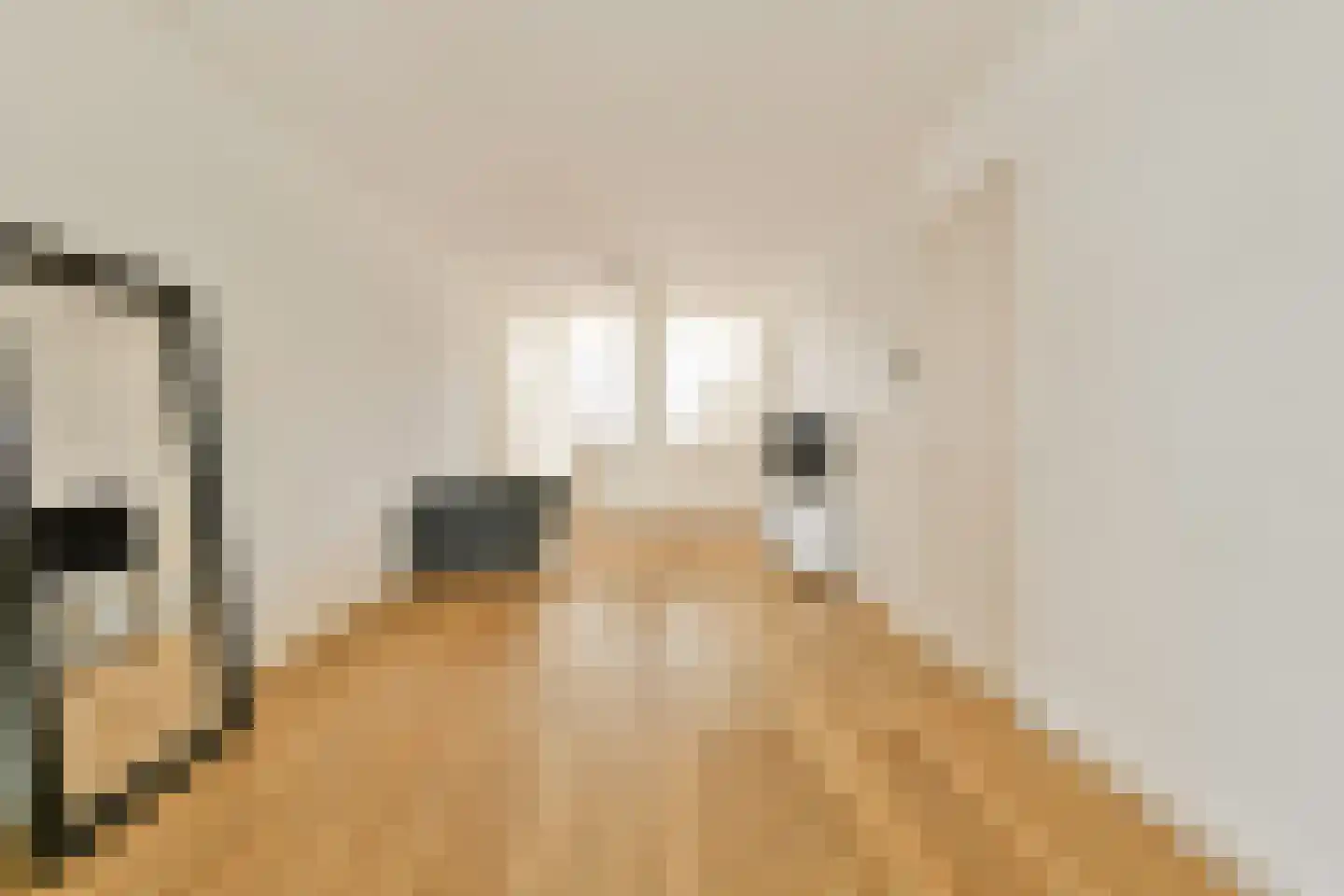 Ter Haarstraat 20 1 Amsterdam thumbnail 10