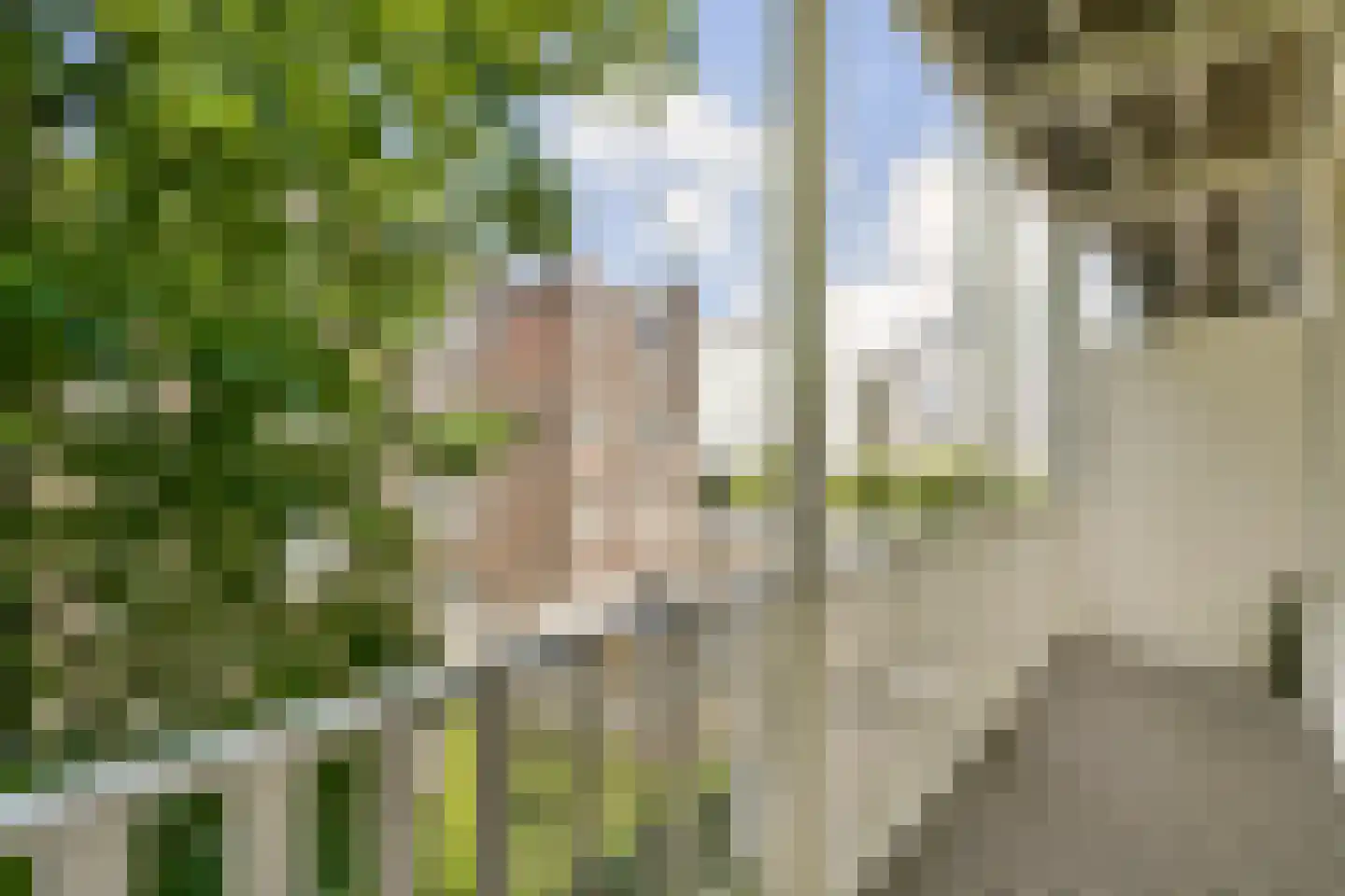 Ter Haarstraat 20 1 Amsterdam thumbnail 4