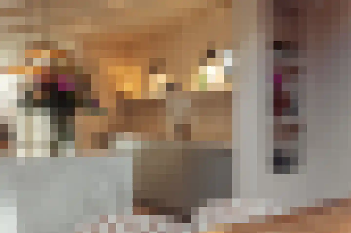 Ter Haarstraat 20 H Amsterdam thumbnail 14