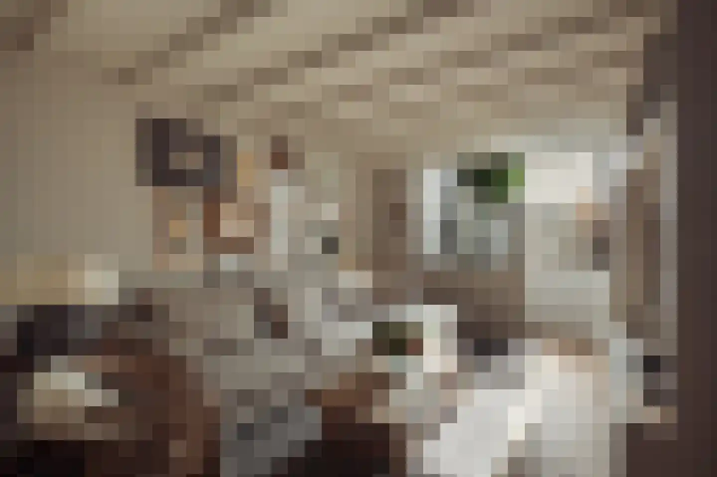 Ter Haarstraat 20 H Amsterdam thumbnail 9