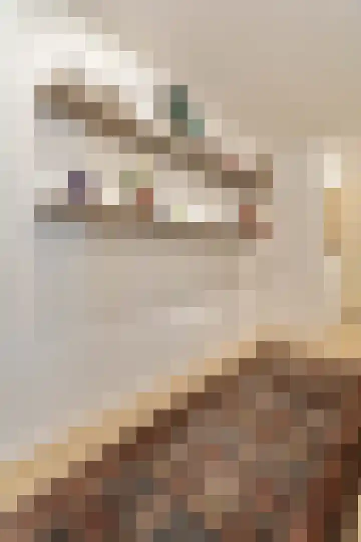 Ter Haarstraat 21 F Amsterdam thumbnail 9