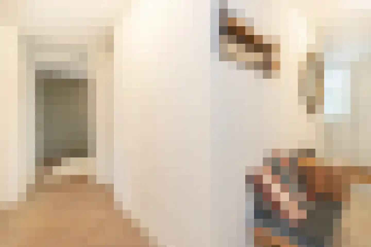 Ter Haarstraat 31 E Amsterdam thumbnail 18