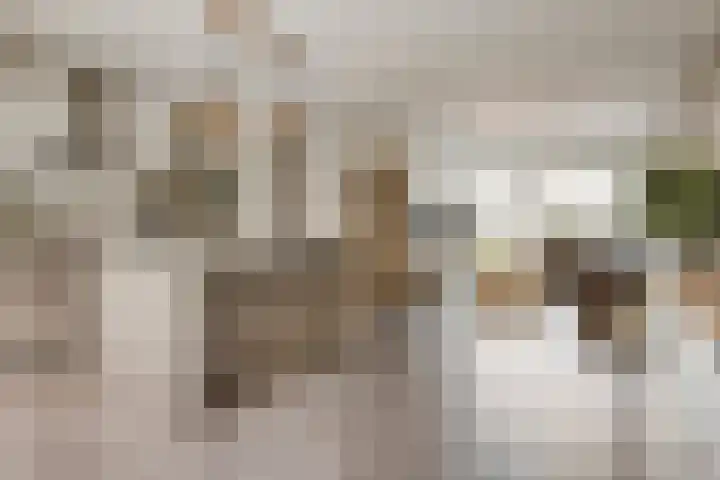 Ter Hagenstraat 7 Zuiddorpe thumbnail 10
