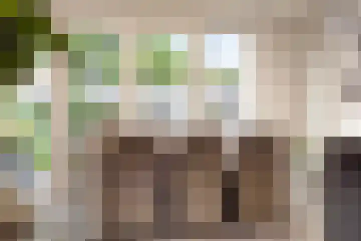 Ter Hagenstraat 7 Zuiddorpe thumbnail 11