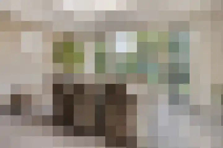 Ter Hagenstraat 7 Zuiddorpe thumbnail 12
