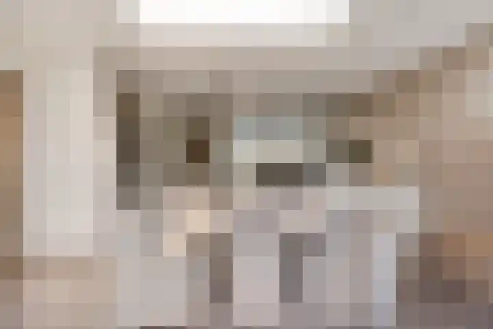 Ter Hagenstraat 7 Zuiddorpe thumbnail 13
