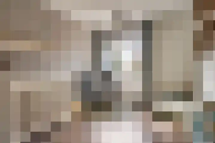 Ter Hagenstraat 7 Zuiddorpe thumbnail 15