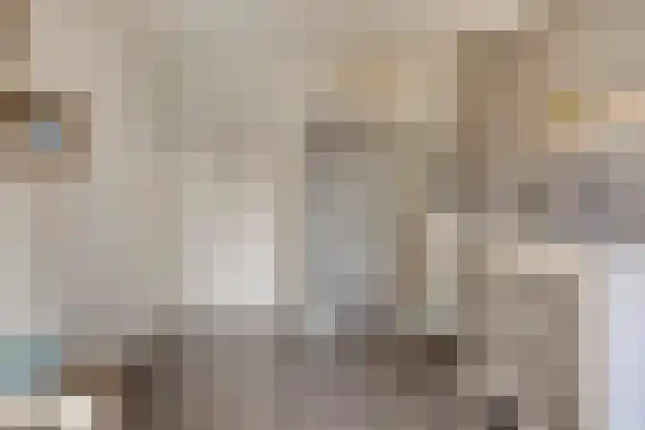 Ter Hagenstraat 7 Zuiddorpe thumbnail 16