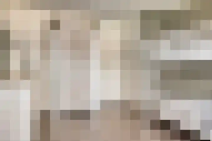 Ter Hagenstraat 7 Zuiddorpe thumbnail 18