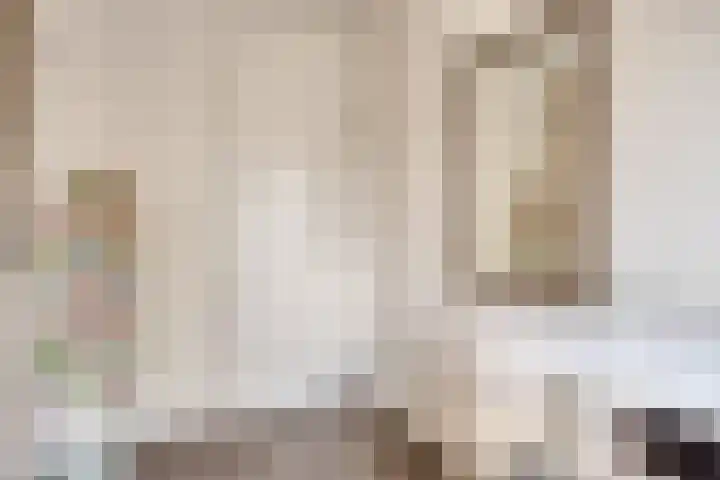 Ter Hagenstraat 7 Zuiddorpe thumbnail 20