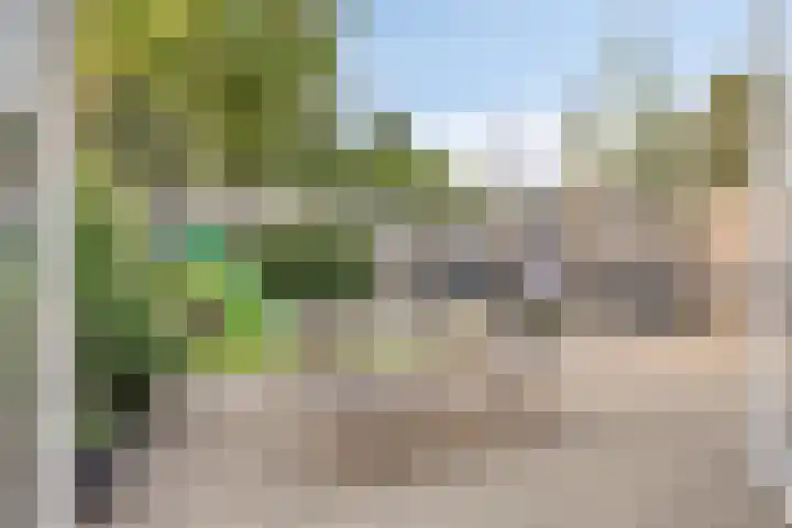 Ter Hagenstraat 7 Zuiddorpe thumbnail 28