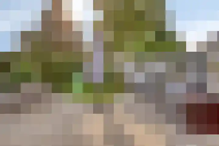 Ter Hagenstraat 7 Zuiddorpe thumbnail 29