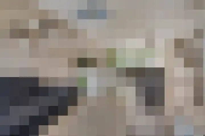 Ter Hagenstraat 7 Zuiddorpe thumbnail 6