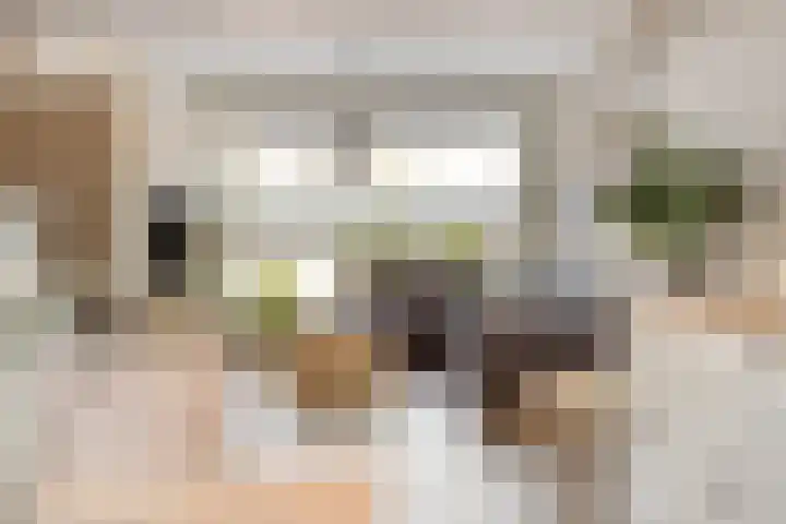 Ter Hagenstraat 7 Zuiddorpe thumbnail 7
