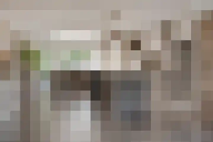 Ter Hagenstraat 7 Zuiddorpe thumbnail 8