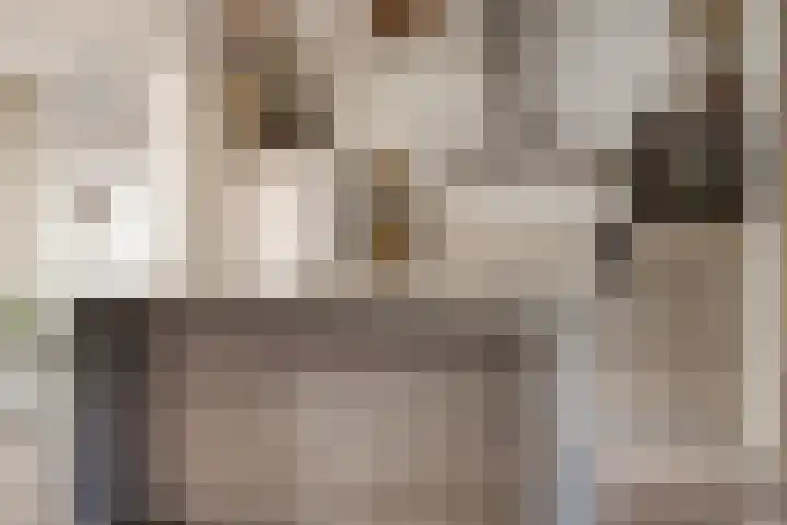 Ter Hagenstraat 7 Zuiddorpe thumbnail 9