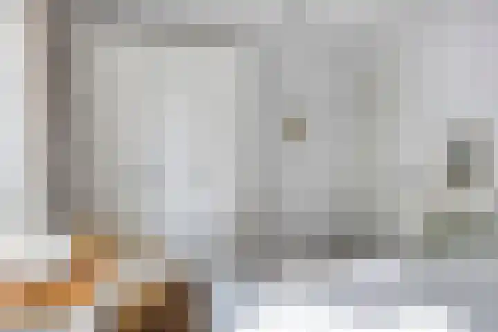 ter Heerdtspad 2 B Vaassen thumbnail 17