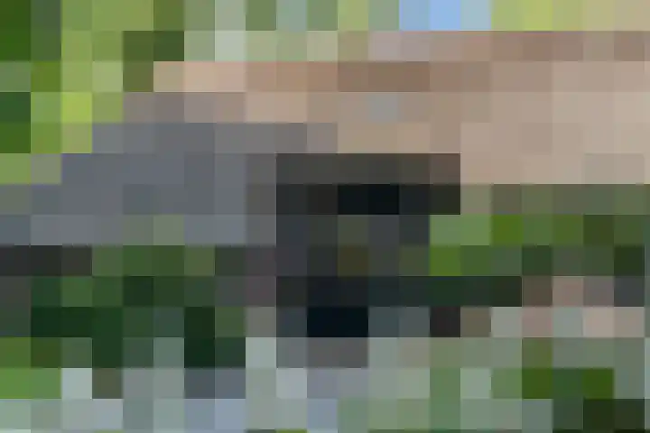 ter Heerdtspad 2 B Vaassen thumbnail 22