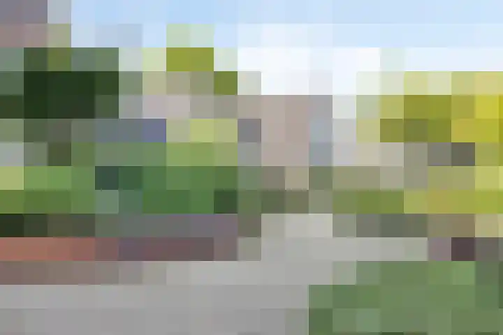 ter Heerdtspad 2 B Vaassen thumbnail 24