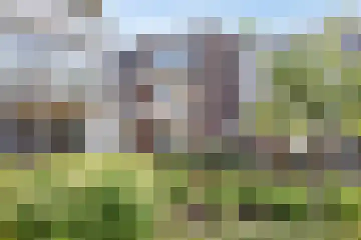 ter Heerdtspad 2 B Vaassen thumbnail 25