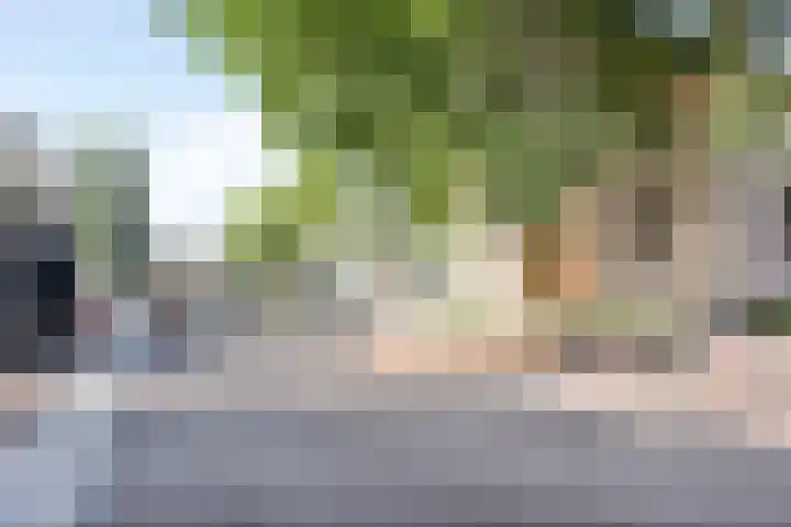 ter Heerdtspad 2 B Vaassen thumbnail 29